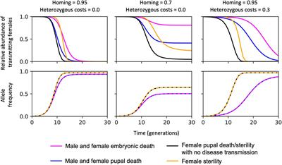 Driving down malaria transmission with engineered gene drives